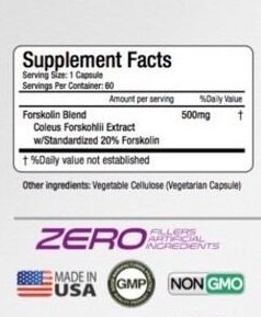 Forskolin Extract Nutrition Facts