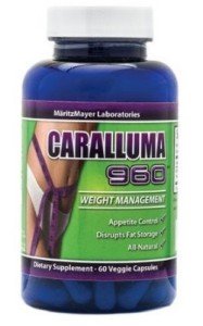 Caralluma 960