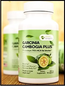 Garcinia Cambogia Plus- 75% HCA Fat Blocker | Champion Reviews